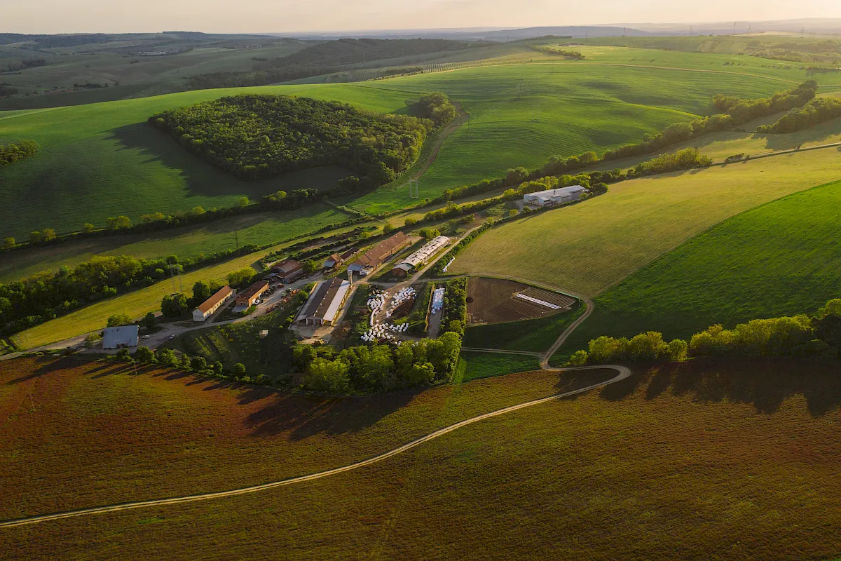 ein Bauernhof